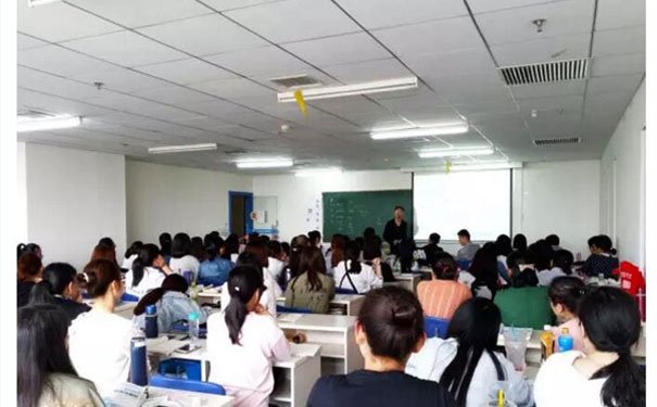 新手会计没人带怎么办