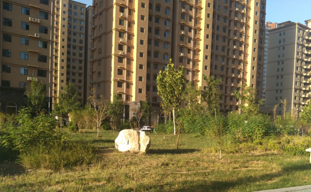 衡水一级建造师培训学校哪个好_费用多少钱_地址电话微信