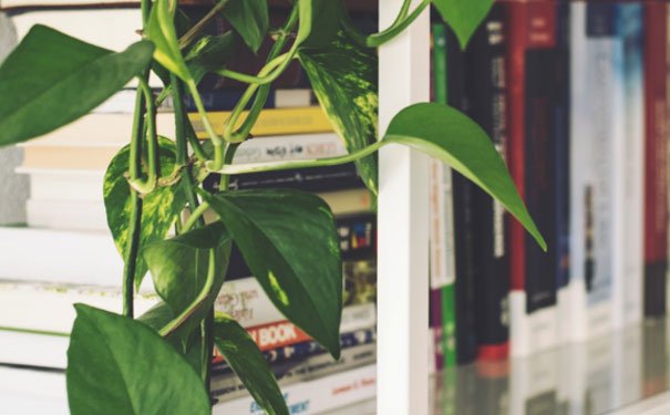 如何零基础学英语的方法