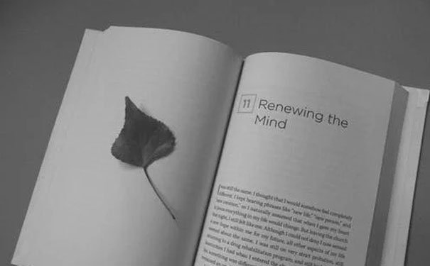 东莞东城区成人英文培训班多少钱_东莞东城区成人英文培训机构 东莞东城区成人英文培训班多少钱_东莞东城区成人英文培训机构