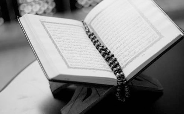 东莞松山湖成人英文培训班多少钱_东莞松山湖成人英文培训机构