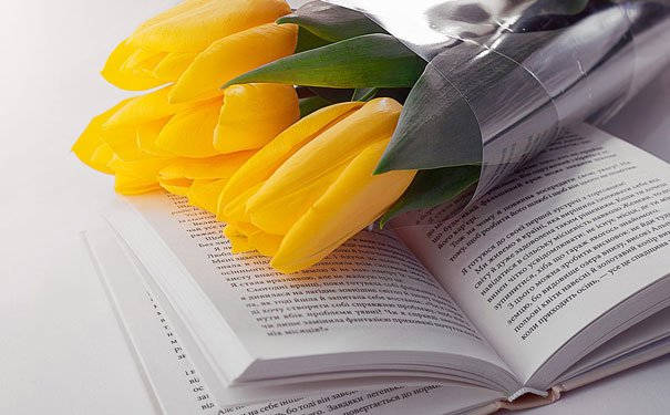 合肥瑶海区成人英文培训班多少钱_合肥瑶海区成人英文培训机构