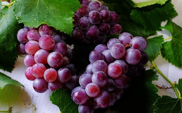 安康健康管理师报名 - 费用 - 时间