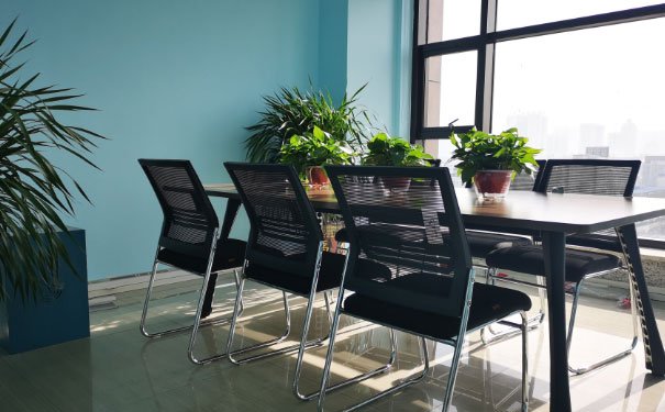 聊城中级经济师在哪考试