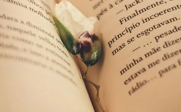 成都美联英语收费标准