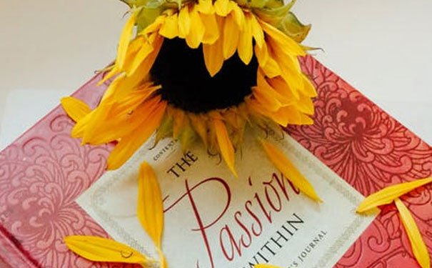 中山美联英语培训学校怎么样