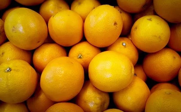山东健康师考试时间