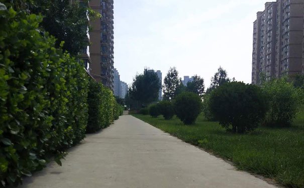 锦州培训心理咨询师费用_报考条件 锦州培训心理咨询师费用_报考条件
