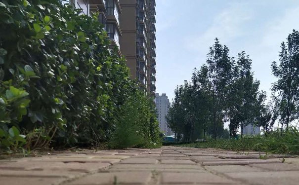 盘锦培训心理咨询师费用_报考条件 盘锦培训心理咨询师费用_报考条件