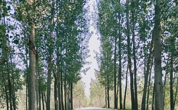 广州室内设计培训班多少钱