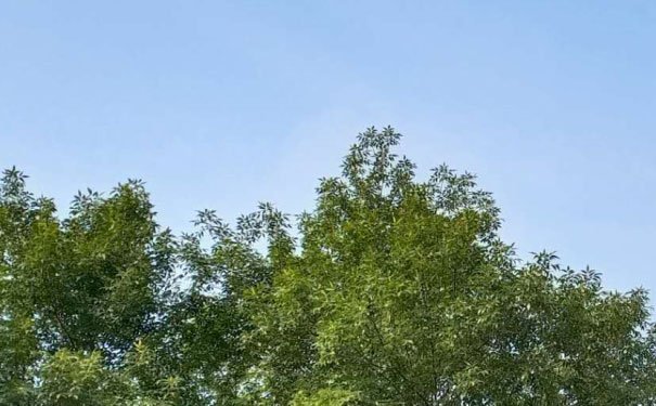 南宁室内设计培训费用