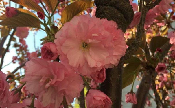 成都室内设计培训班排行榜