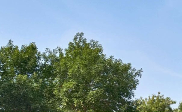 赣州室内设计培训学校