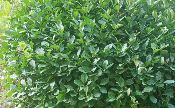 赣州室内设计培训机构