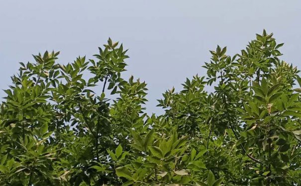 上海室内设计培训班哪个好