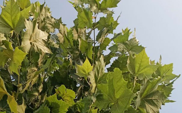 上海室内设计培训比较好的培训机构