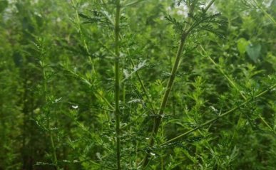 南昌室内设计培训班费用多少钱