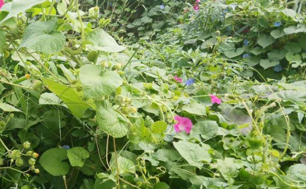 深圳室内设计培训班哪个好