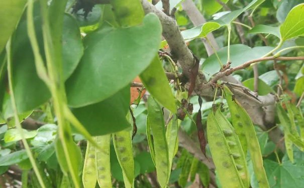 青岛室内设计培训班哪个好