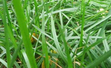 太原室内设计培训去哪里