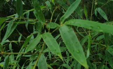 贵阳室内设计培训费用