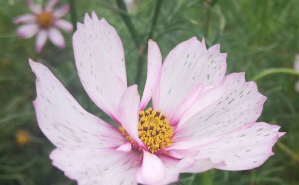 宜昌室内设计培训班