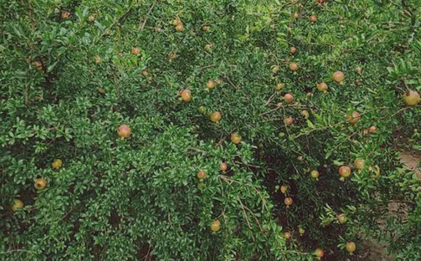 柳州室内设计培训哪家好