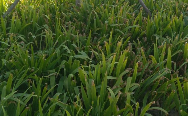 绵阳室内设计培训班