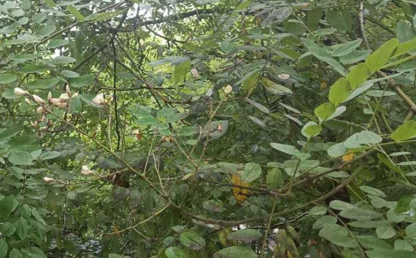 十堰培训心理咨询师费用_报考条件