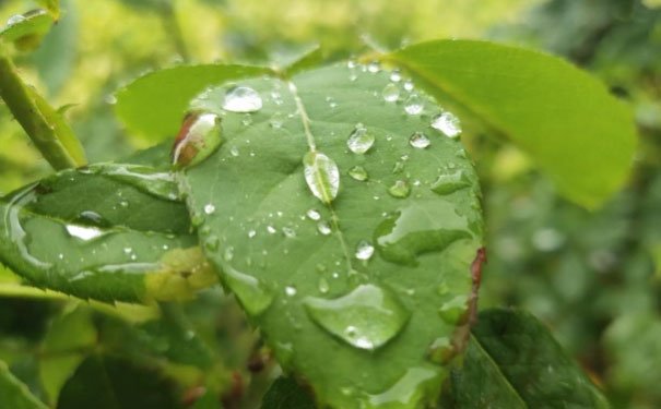 商洛培训心理咨询师费用_报考条件