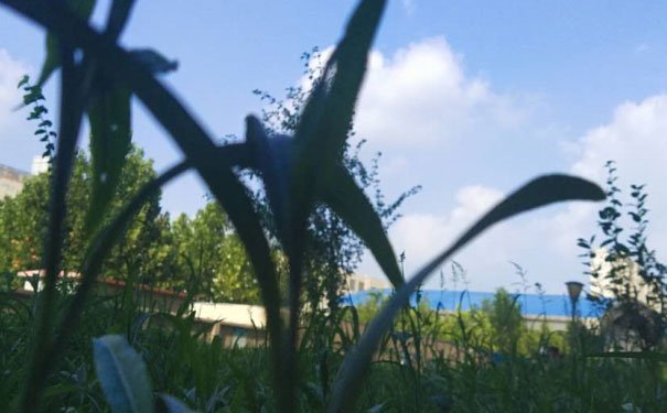 广州白云区出国英语培训机构哪个好_学费多少钱