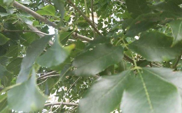 广州海珠区出国英语培训机构哪个好_学费多少钱