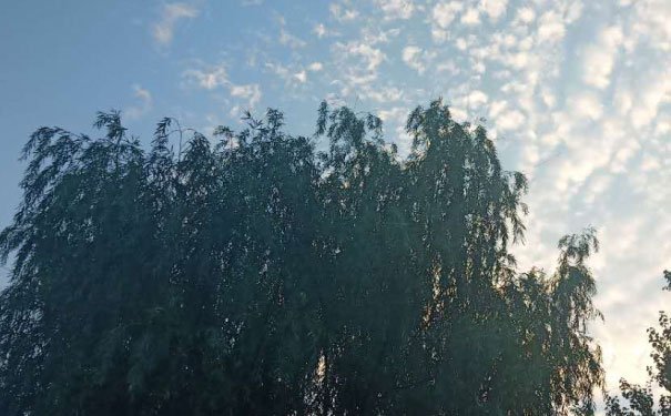 深圳福田区出国英语培训机构哪个好_学费多少钱