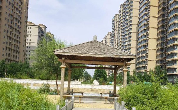 深圳龙岗区出国英语培训机构哪个好_学费多少钱