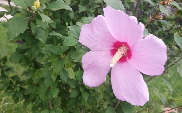 东莞南城区出国英语培训机构哪个好_学费多少钱