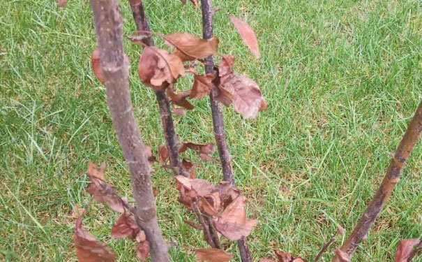 佛山南海区出国英语培训机构哪个好_学费多少钱