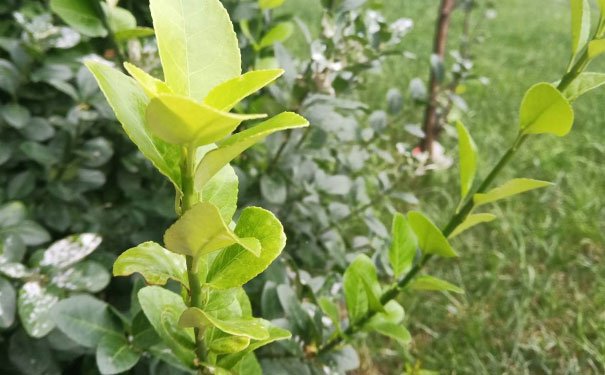 中山东区出国英语培训机构哪个好_学费多少钱