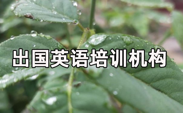 惠州出国英语培训机构哪个好_学费多少钱 