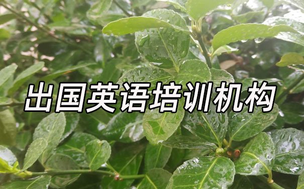 江门蓬江区出国英语培训机构哪个好_学费多少钱