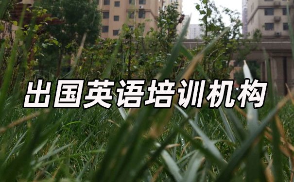 武汉汉阳区出国英语培训机构哪个好_学费多少钱