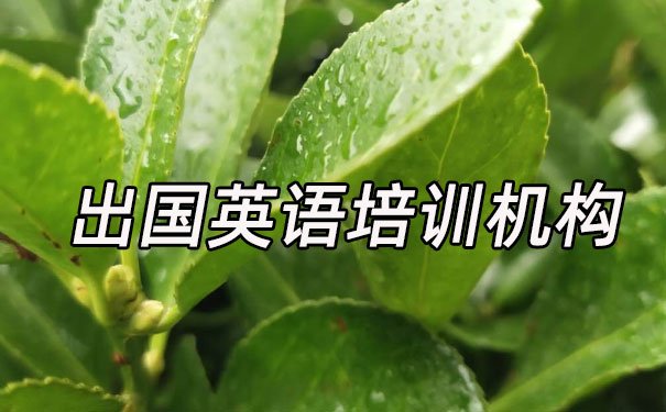 武汉江汉区出国英语培训机构哪个好_学费多少钱