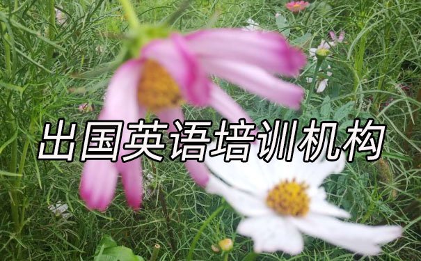 厦门出国英语培训机构哪个好_学费多少钱