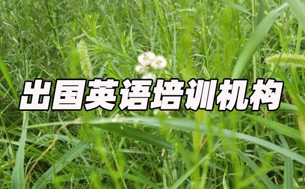 泉州出国英语培训机构哪个好_学费多少钱