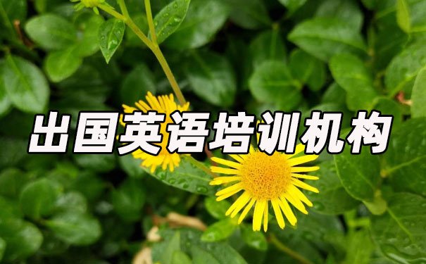 北京出国英语培训机构哪个好_学费多少钱