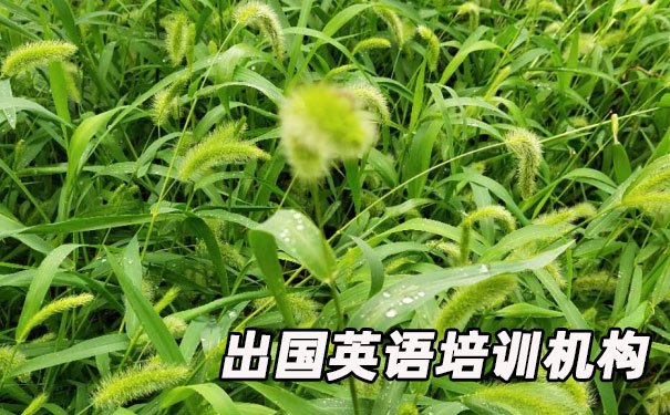 北京通州区出国英语培训机构哪个好_学费多少钱