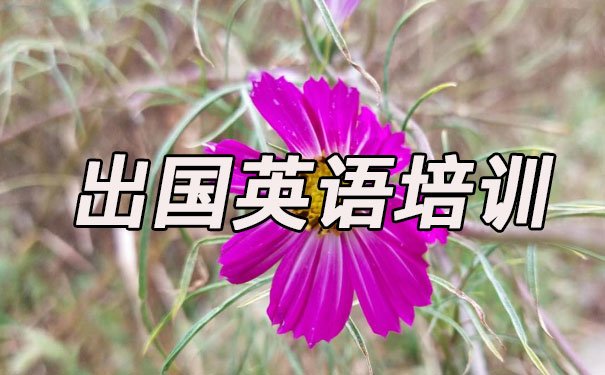 苏州吴江区出国英语培训机构哪个好_学费多少钱