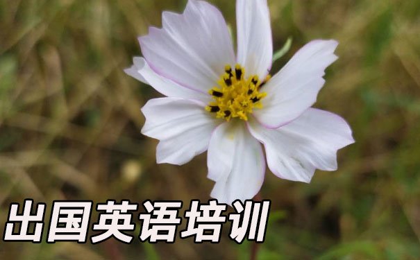 常州出国英语培训机构哪个好_学费多少钱