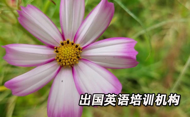 北京朝阳区出国英语培训机构哪个好_学费多少钱