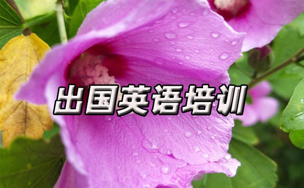 苏州出国英语培训机构哪个好_学费多少钱
