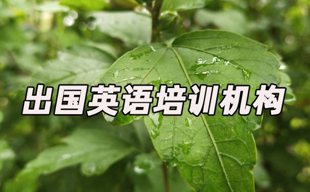 苏州吴中区出国英语培训机构哪个好_学费多少钱